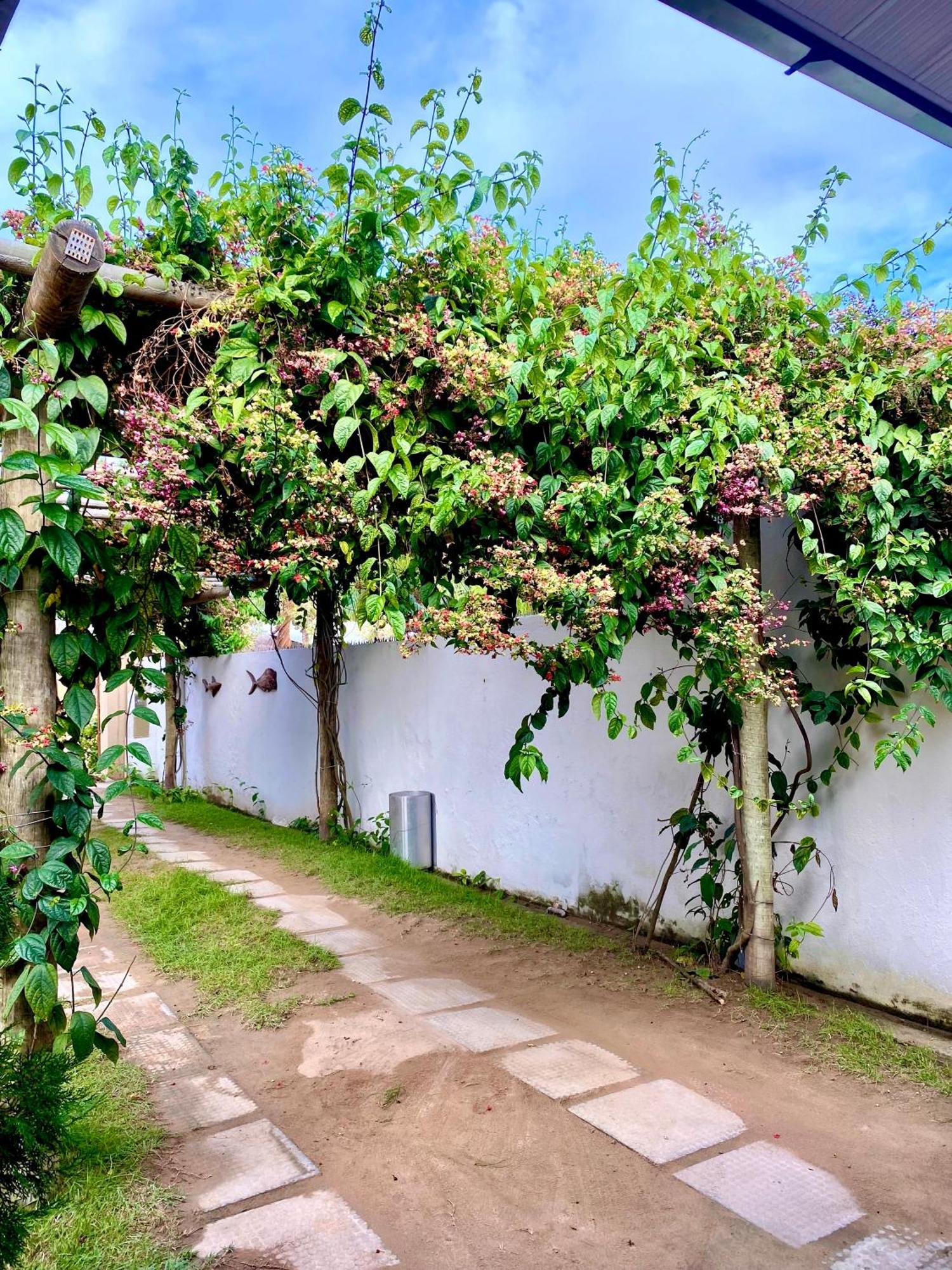 Pousada Paraiso Dos Milagres São Miguel dos Milagres Exteriör bild
